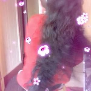 Meet your Posher, Lance